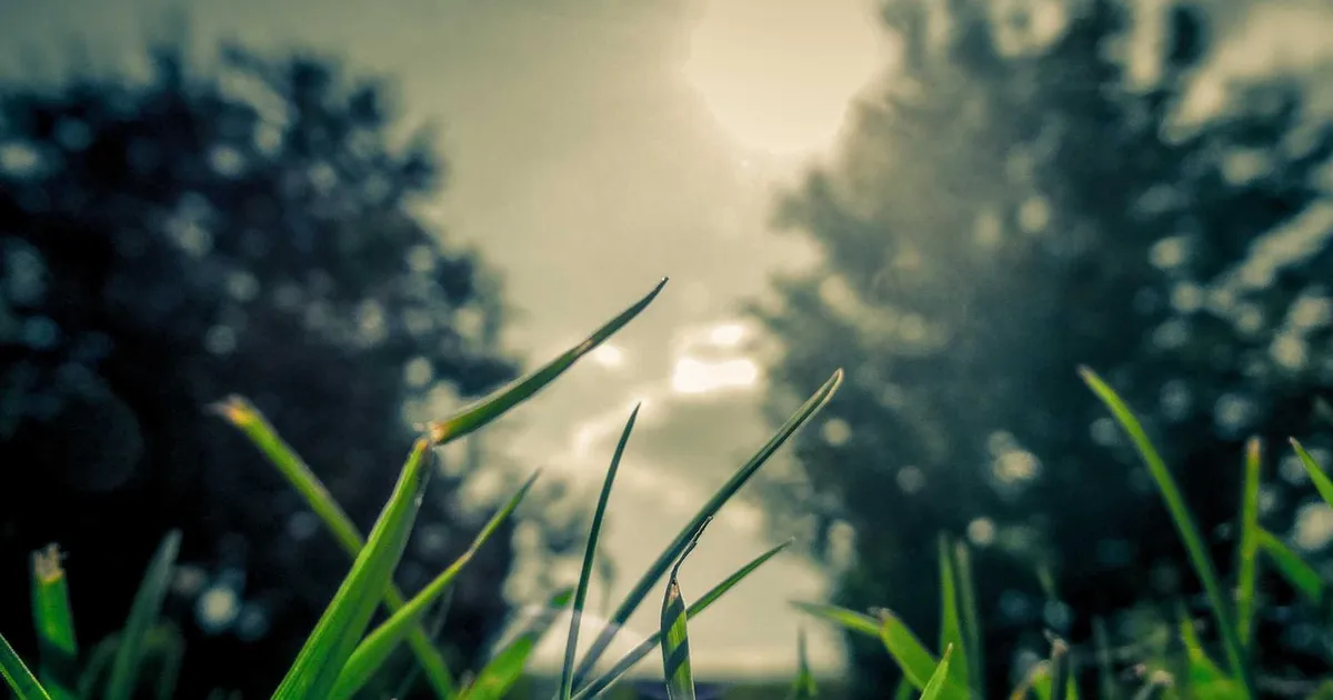 10 tips til lønforhandling: Få den løn du fortjener i 2026