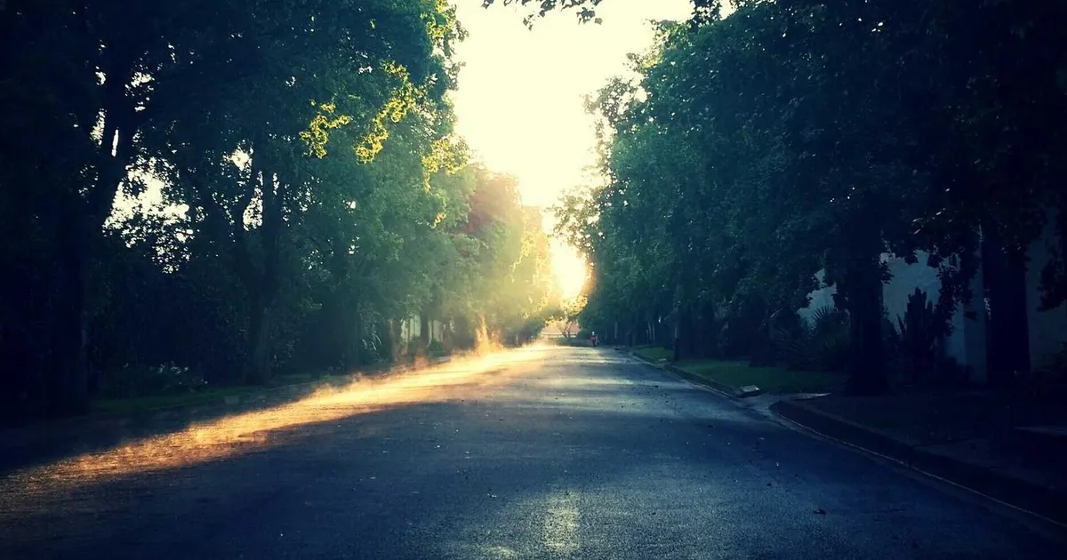 Anlægsgartner løn 2026: Se hvad gartnere tjener