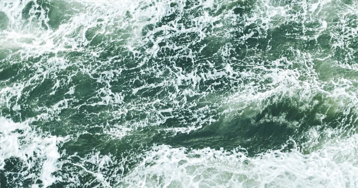 Bartender løn 2026: Hvad tjener en bartender?