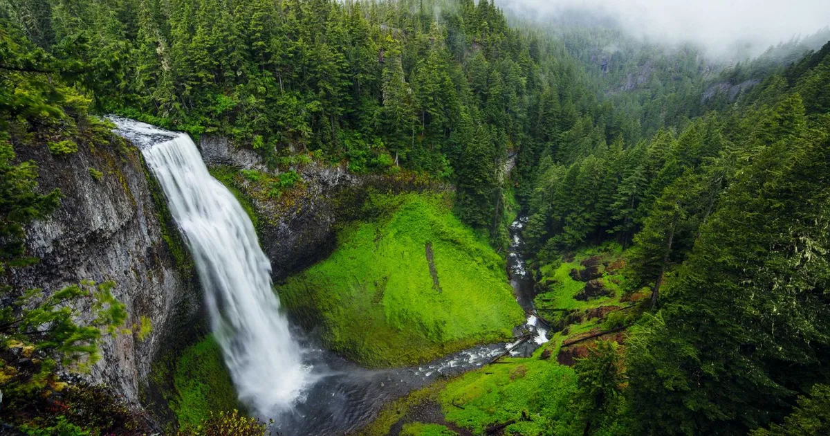 Chauffør løn 2026: Hvad tjener en chauffør i Danmark?