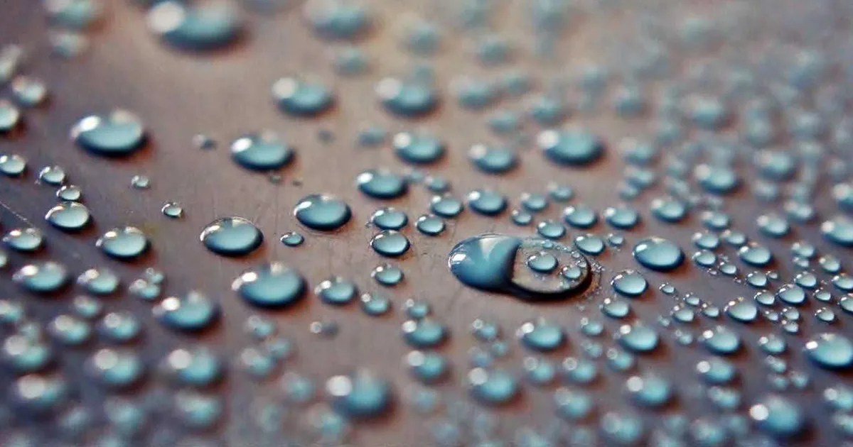 Compliance officer guide: Karriere, uddannelse og løn 2026