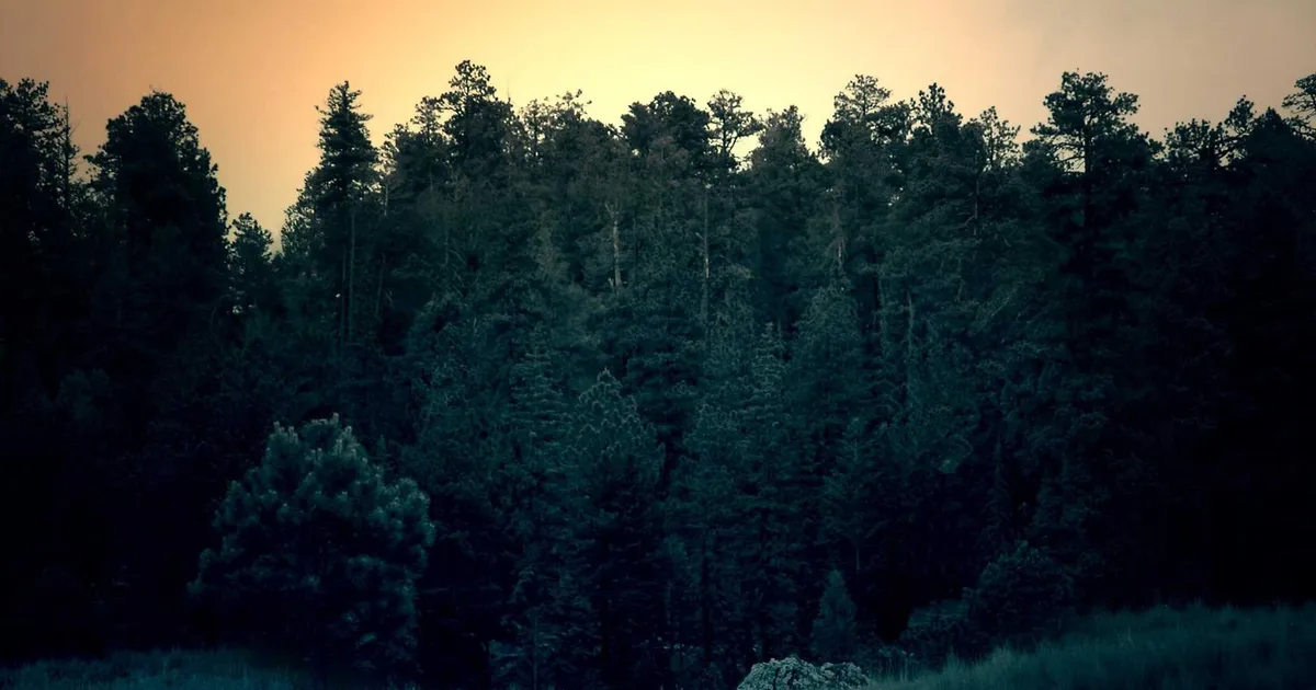 Deltid vs. fuldtid 2026: Løn, rettigheder og karriere