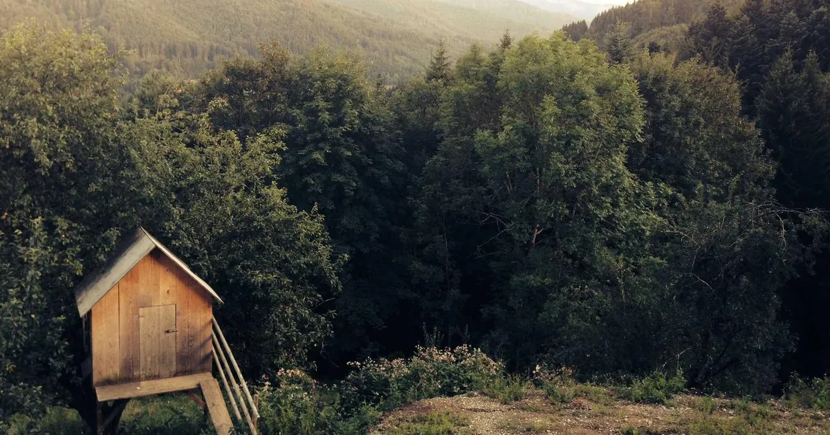 Fængselsbetjent løn 2026: Hvad tjener en fængselsbetjent?