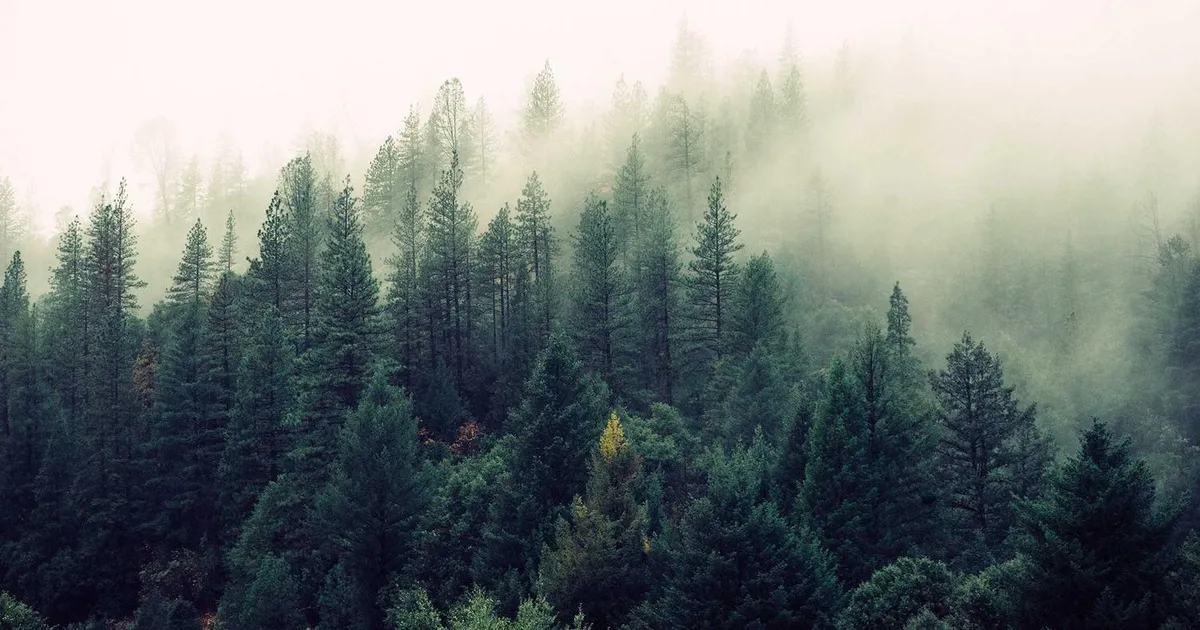 Ferieloven 2026: Regler, rettigheder og feriepenge