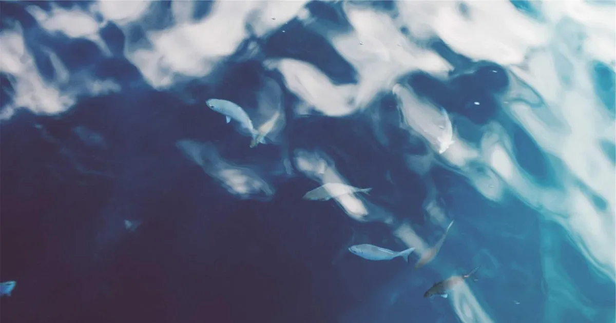 Første job efter studiet: Sådan lander du jobbet i 2026