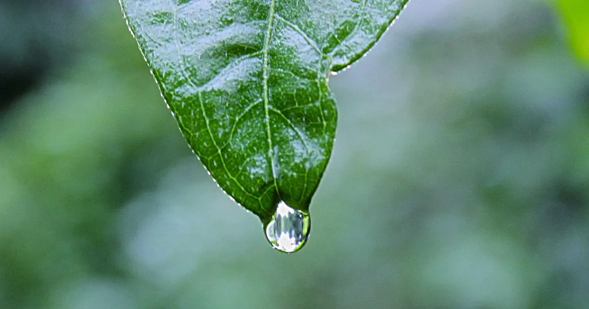 Freelance forsikring 2026: Hvilke forsikringer har du brug for som selvstændig?