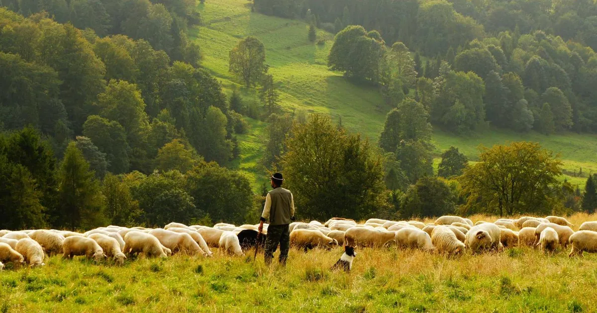Gennemsnitsløn i Danmark 2026: Komplet oversigt over alle brancher