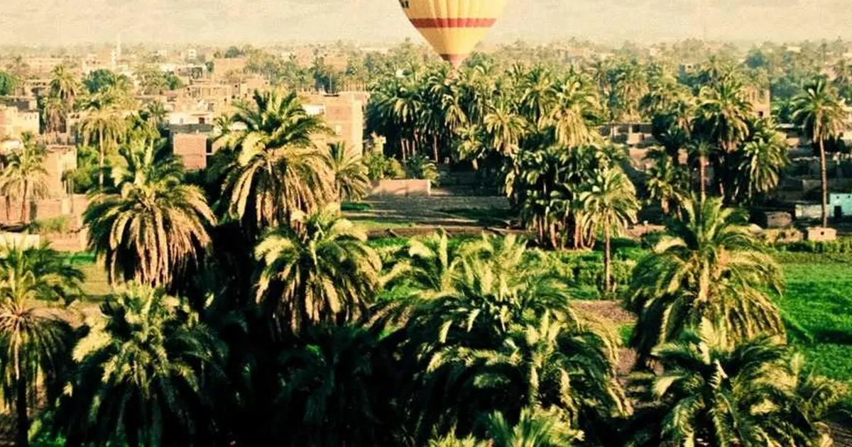 Hjemmearbejde 2026: Regler, tips og rettigheder