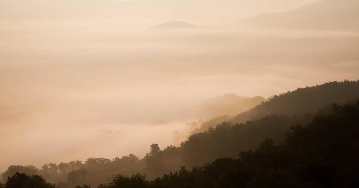 Hjemmearbejde vs. kontor 2026: Fordele, ulemper og hvad passer dig?