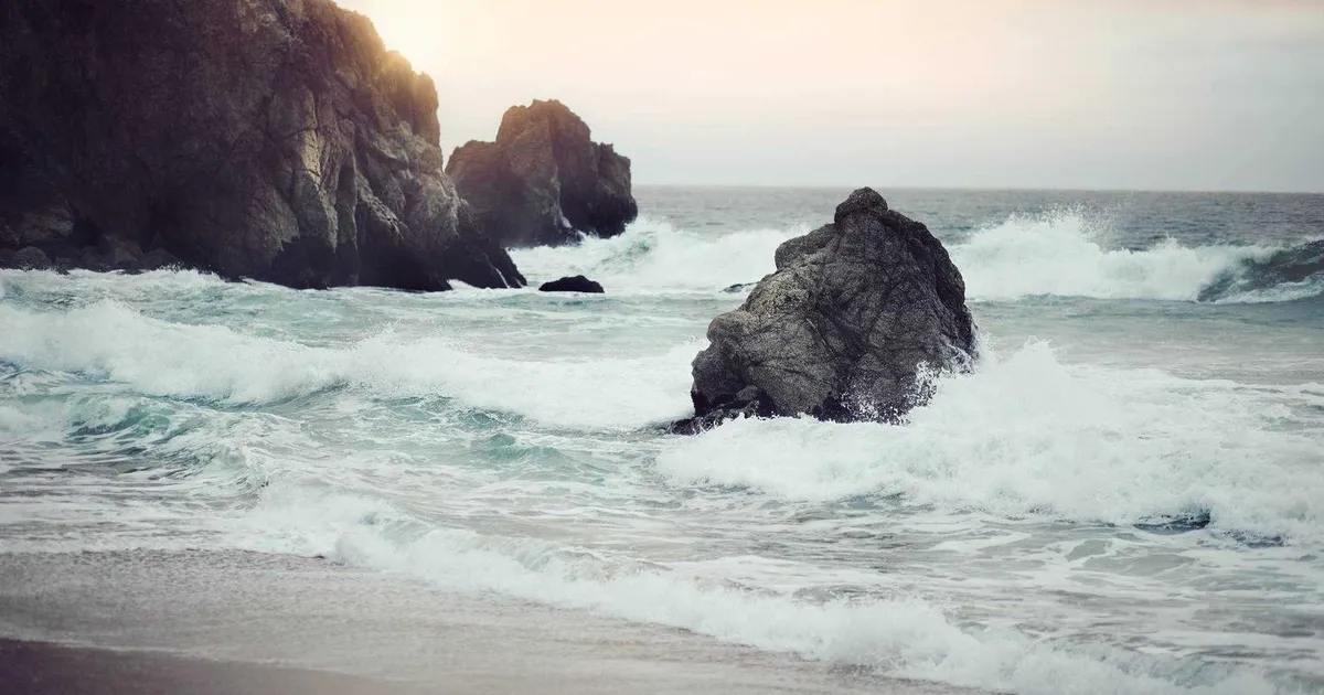 Hvad får bestyrelsesmedlemmer i løn? Guide til honorar 2026