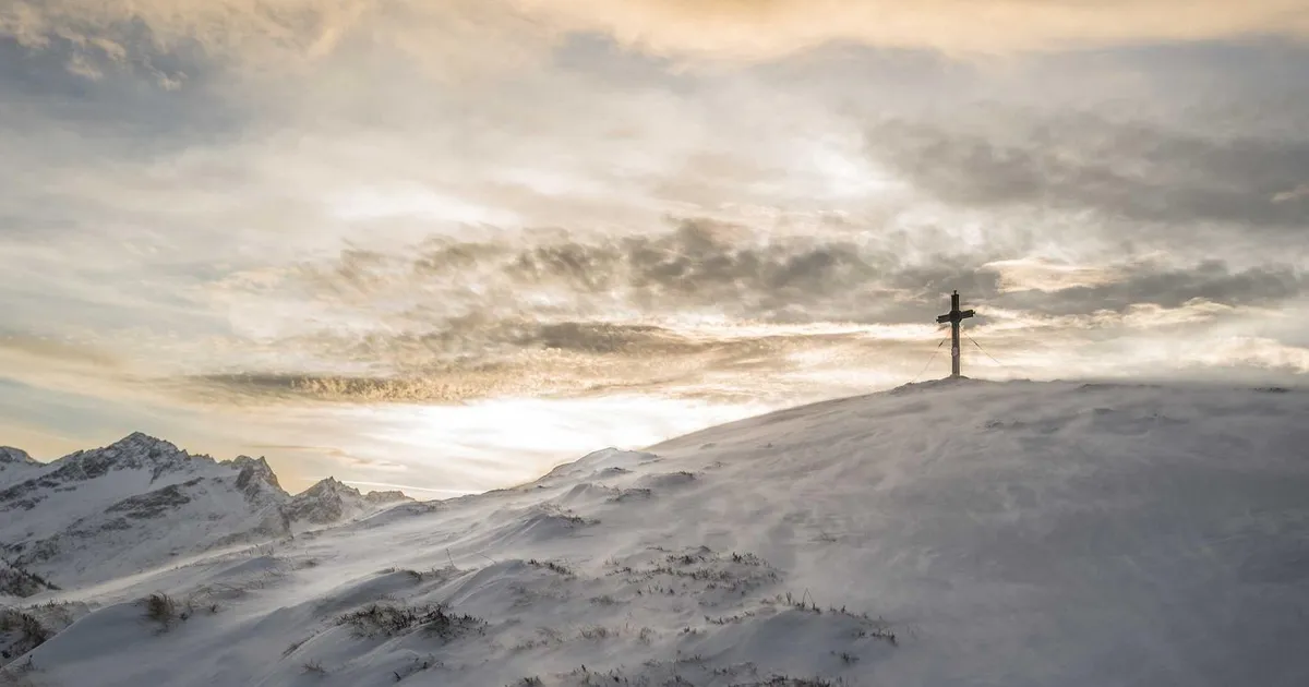 Opbyg din ansøgning