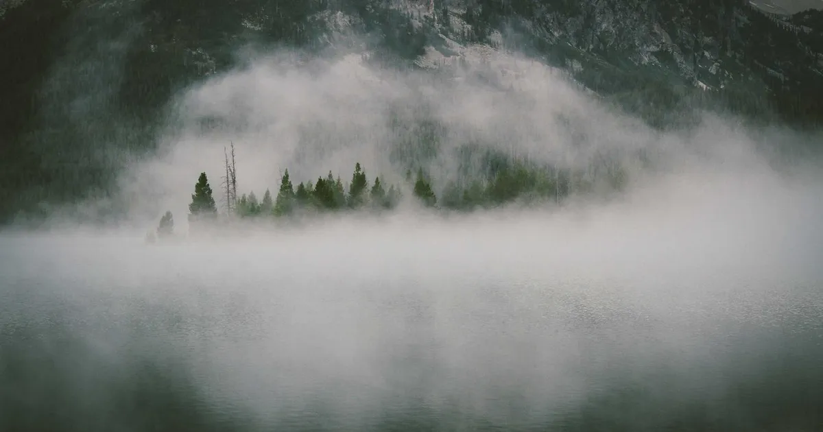 Kompetencer til brancheskift