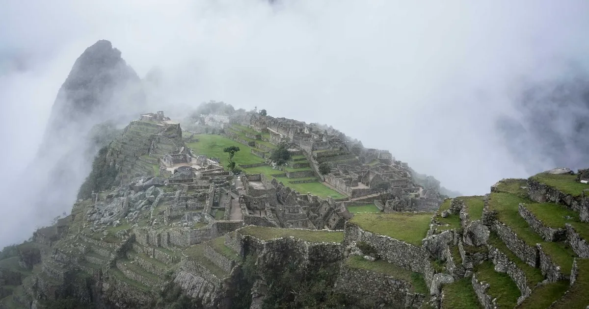 Sådan tilpasser og målretter du dit CV