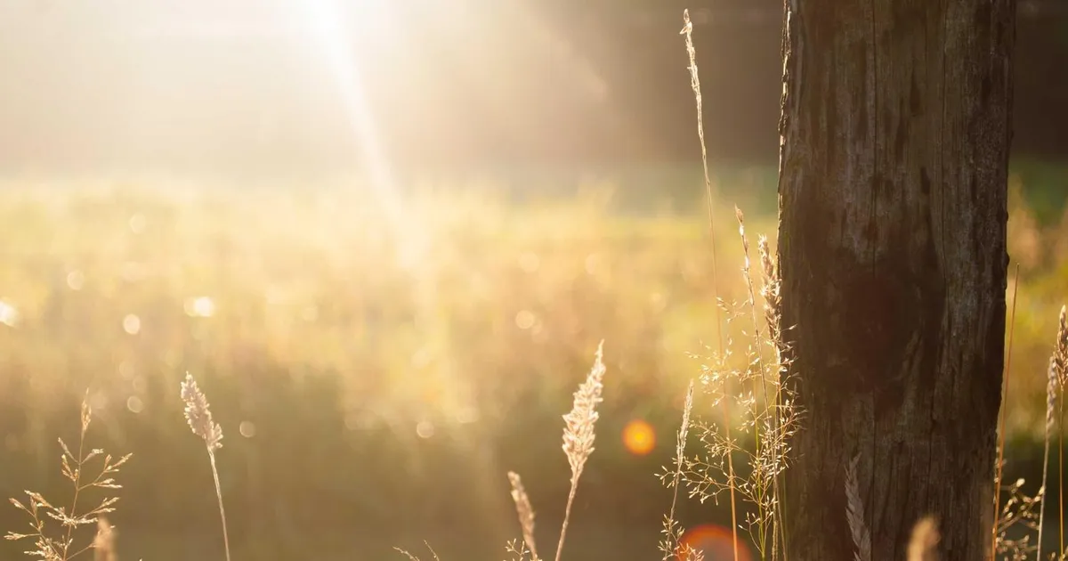 Video interview: Sådan forbereder du dig