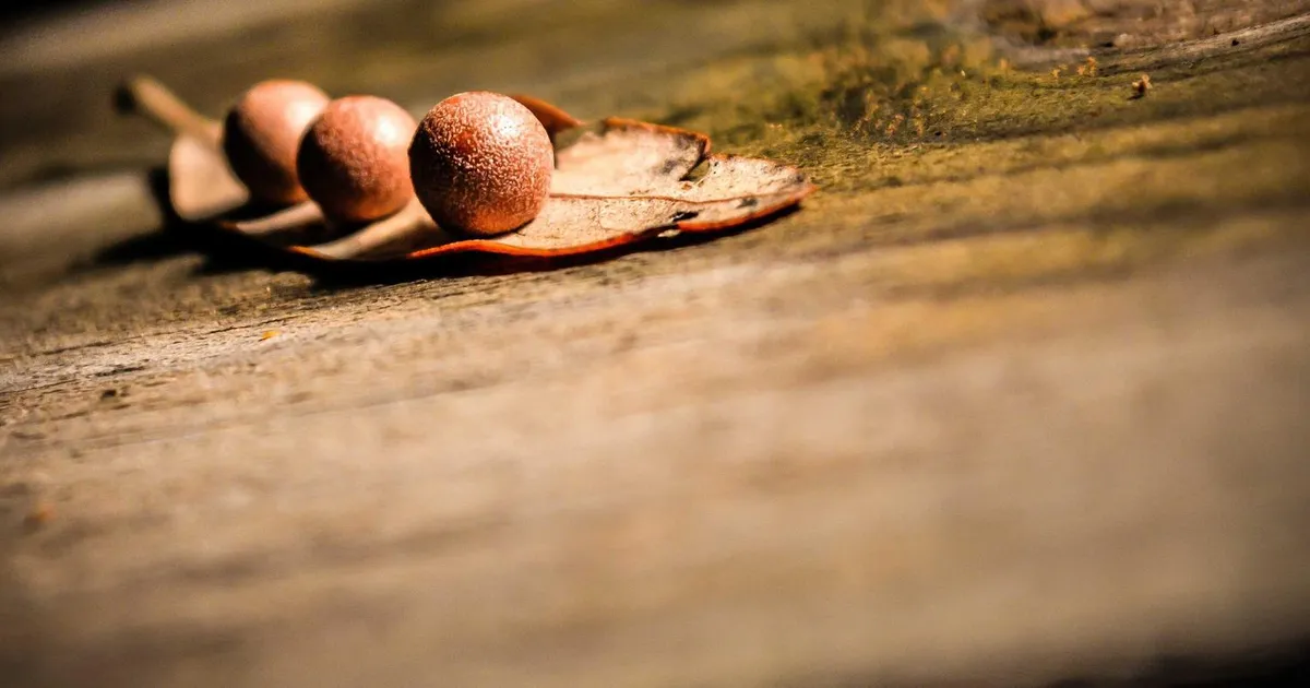 Hold motivationen oppe