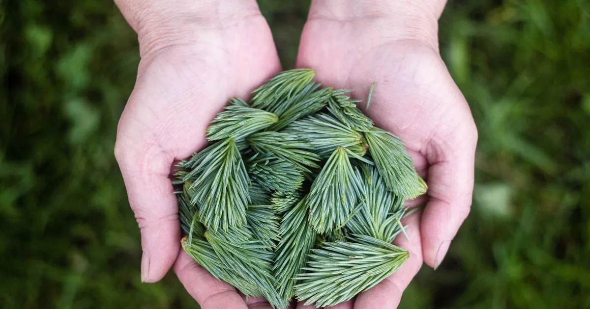 Private indstillinger