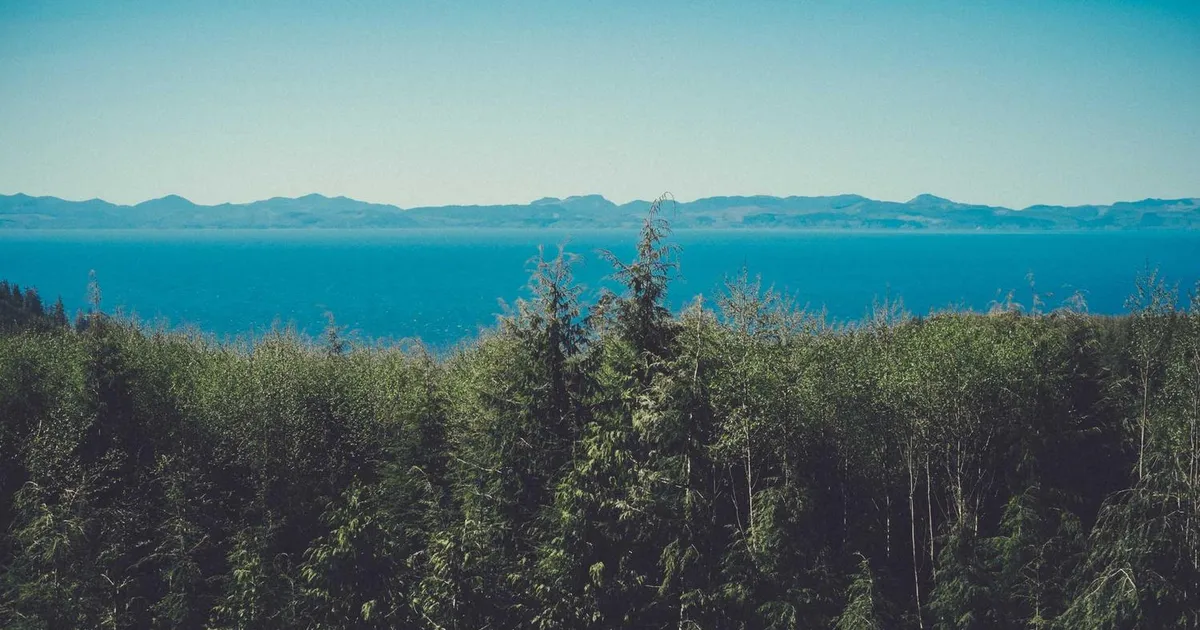 Brug AI til din ugeplan