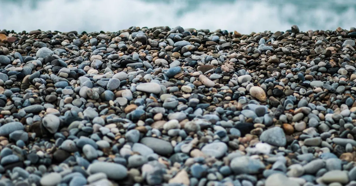Faglig og geografisk mobilitet