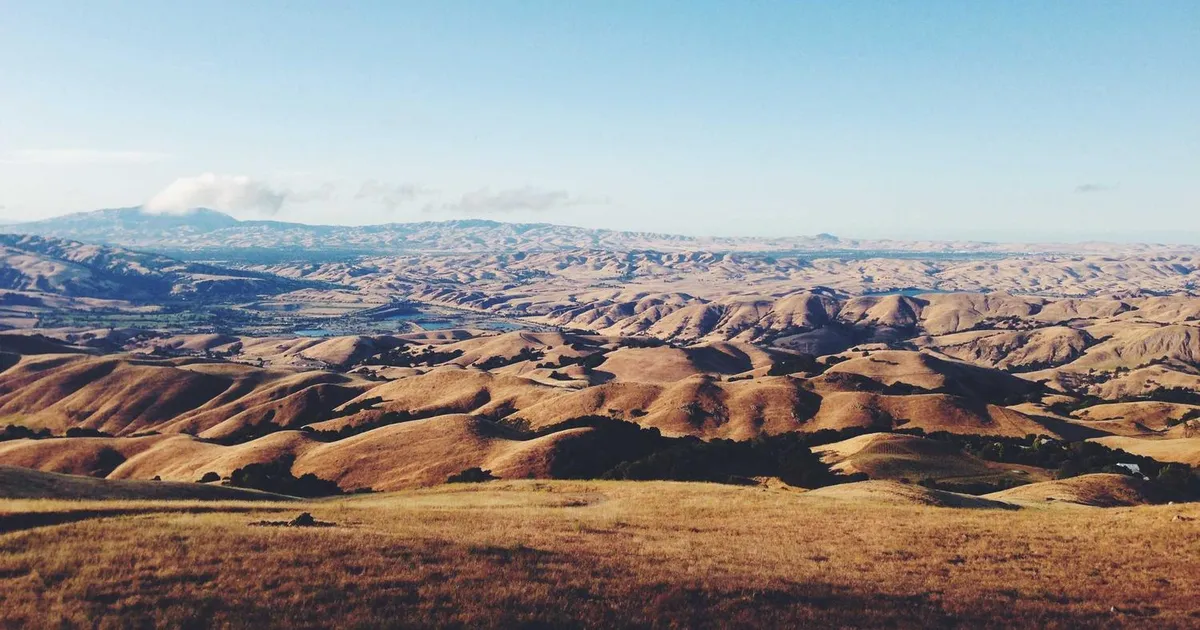 Brug AI til at afdække din motivation