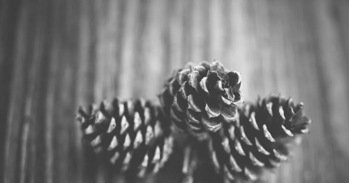 Brug AI til din netværksplan