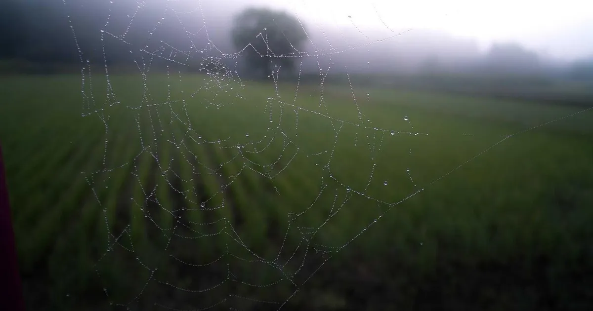 Din personlige præsentation