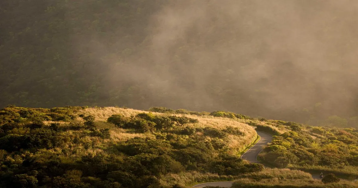 Find virksomheder på Proff.dk