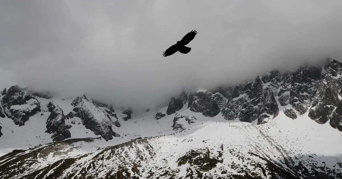 Afslutning og næste skridt