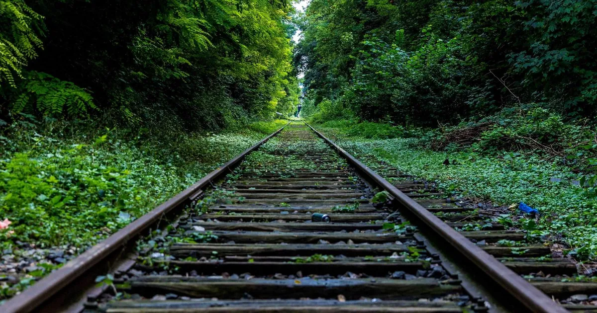 Jobopslag: Sådan læser du det rigtigt [skjulte signaler 2026]