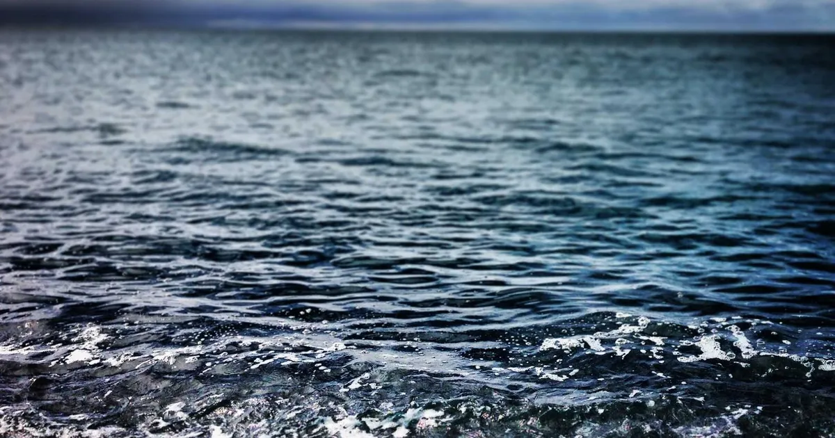 Jobsamtale online vs. fysisk 2026: Fordele, ulemper og tips