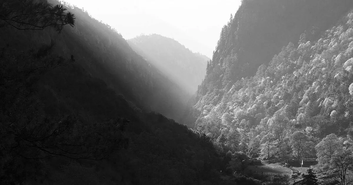 Økonom løn 2026: Se hvad økonomer tjener