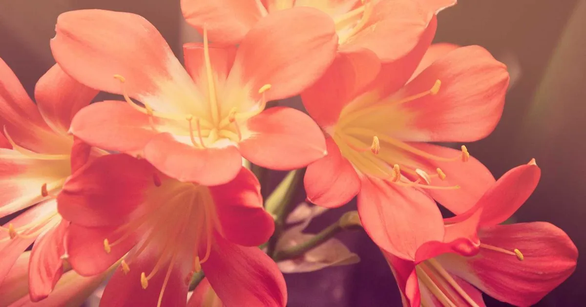 Optiker løn 2026: Komplet guide til løn, specialer og karriere