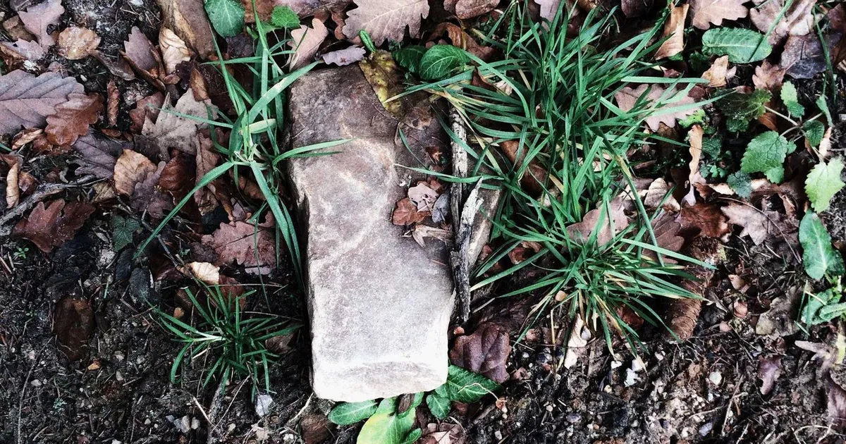 Pædagogmedhjælper løn 2026: Komplet guide til løn og karriere