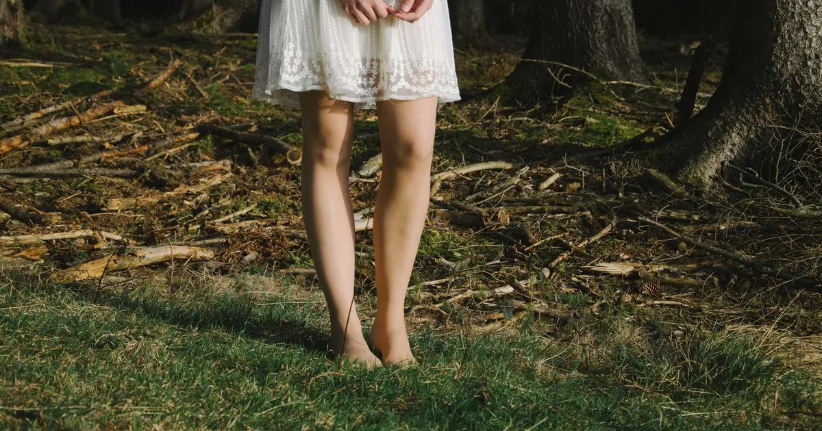 Pension i Danmark 2026: Alt du skal vide