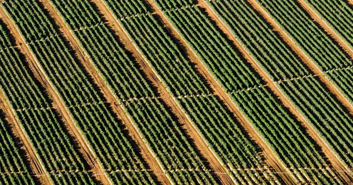 Skibsfører løn 2026: Komplet guide til løn, tillæg og karriere