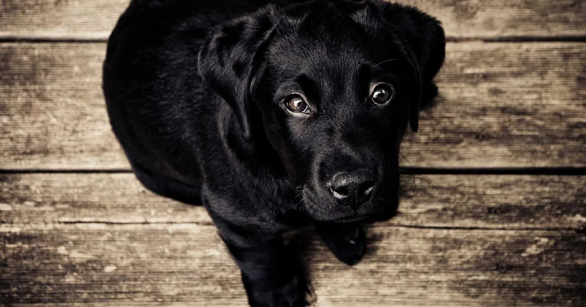 Tjekliste til dit nye job: De første 30 dage 2026