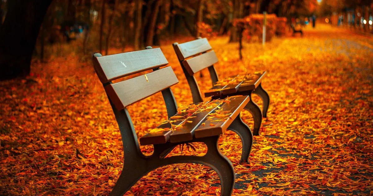 Tjener løn 2026: Hvad tjener en tjener?