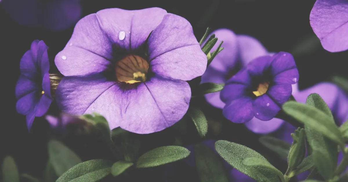 Top 5 brancher med størst lønstigning i Danmark 2026