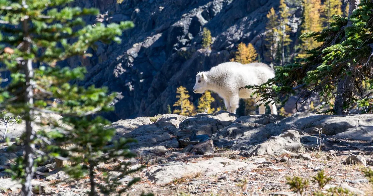 Uddannelse i Danmark 2026: Komplet guide til alle uddannelsesveje