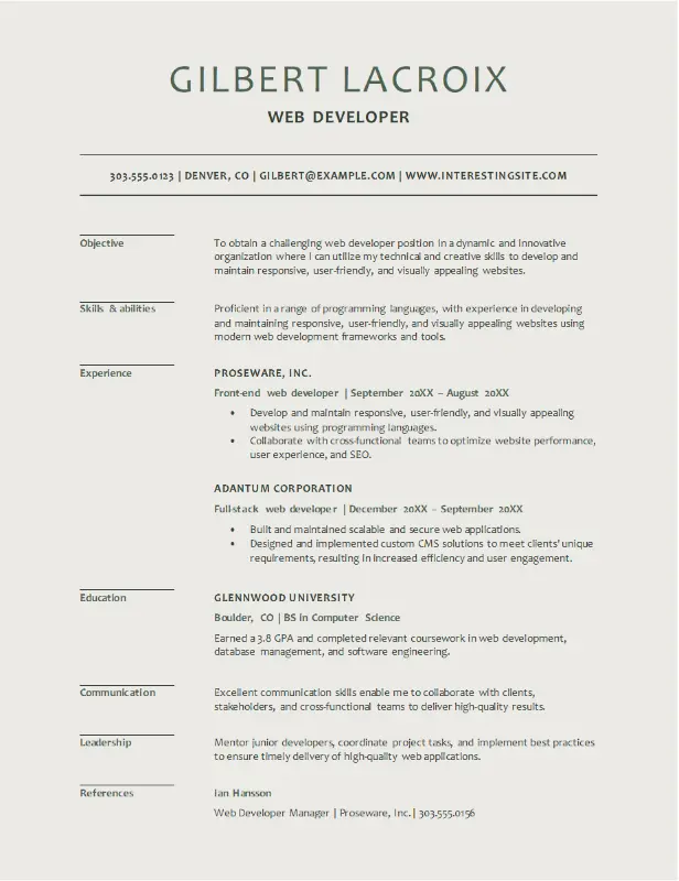 Web Developer CV template