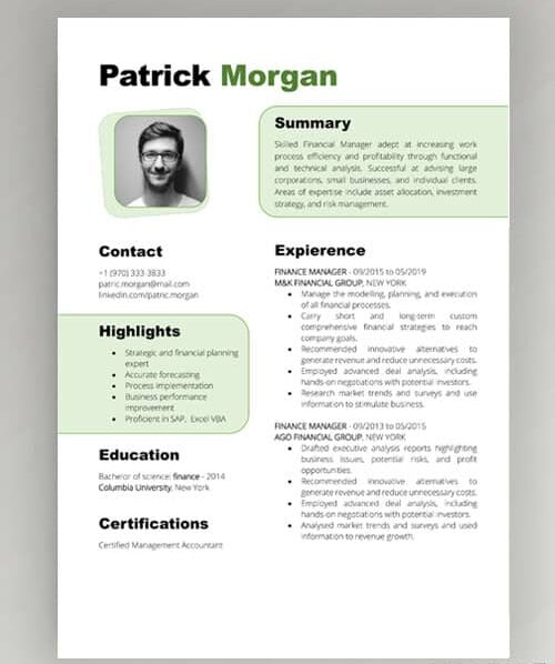 Stylish Networker CV template